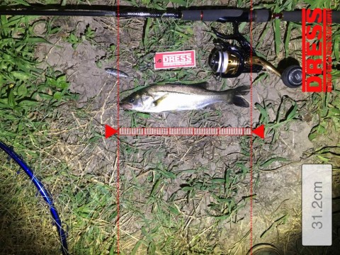 pgwvnd5s5ubmkw68oj43_480_360-07e67c40.jpg