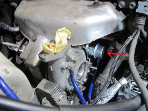 pgzt6duwjhct8ojfvahm_480_480-98c3dedc.jpg