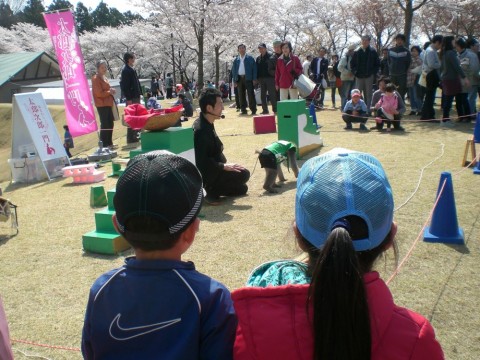 ph3n85msuwo6ffypb9x2_480_480-97aa6cc9.jpg