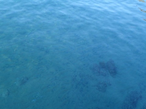ph4x3drz4eau9b3psnua_480_480-3cbd0e38.jpg