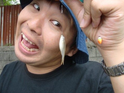 ph594ib7iody25japjv6_480_480-32c2c6e9.jpg