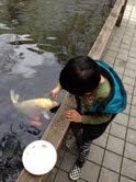 ph6aaftx8jwcx9rey3vu-32003c9f.jpg
