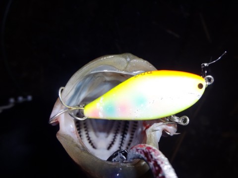ph7x478mn738scc94pov_920_690-e7ef103e.jpg