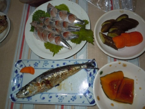pho5okr582646x6r6xnz_480_480-599192e1.jpg