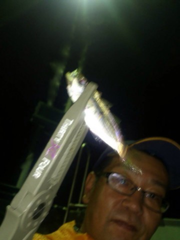 pi2wpa6dubxj9vhxgd77_480_480-91a1a772.jpg