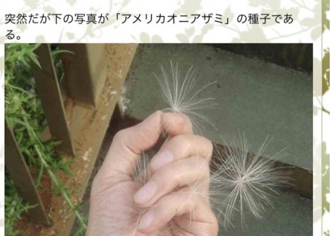 pibghpz8cpigxxvwkfom_480_344-62cb1509.jpg