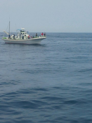 pidde6ir9n2ajtgdjd23_480_480-cc847843.jpg
