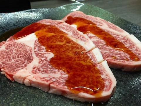 pigki657auphr6d4iyv9_480_480-76c41c7e.jpg