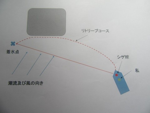 pih9mthi4kgcokyhwzvf_480_480-9d384983.jpg