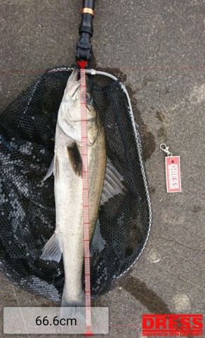 pikv9x3hzj2usgkfyhbw_480_480-980bddb5.jpg