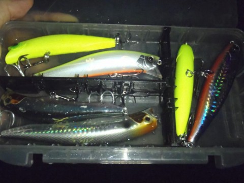 pit64p3ens3mi2wbjiwf_480_480-d498b1c4.jpg