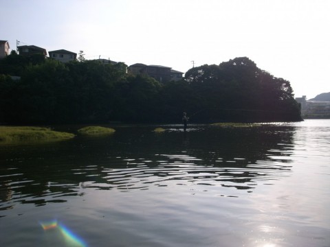 piw6oi4npcasuwrid9n3_480_480-09014fdf.jpg