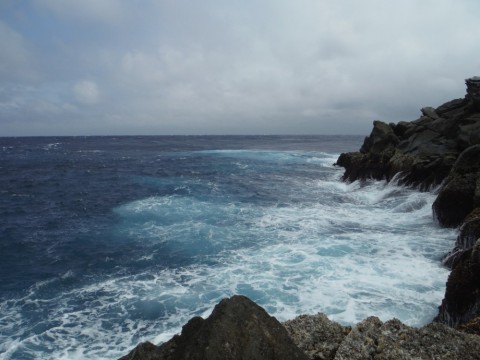pixee5d4uw6i3dkeokii_480_480-09a87e98.jpg