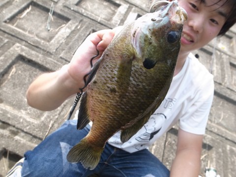pj8boyb7f3y6dao2b2zr_920_690-6e1d435a.jpg