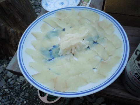 pjfsmjfhx8cs9e6uc6eu_480_480-94eabb64.jpg