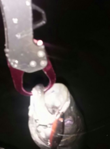 pjoyckvbimfouu4syp4s_659_892-58f79a6f.jpg
