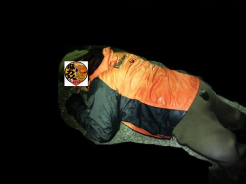 pk4e9kh4skwbexxjatag_480_480-153bed0c.jpg