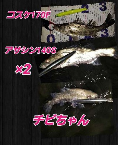 pkempu6ut5w4ez4yndz6_480_480-a7a3ca1e.jpg