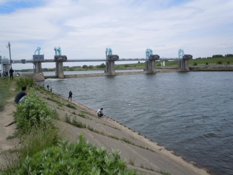 pktkb5prcpfff3rpw3ev_480_480-4e8ebe49.jpg