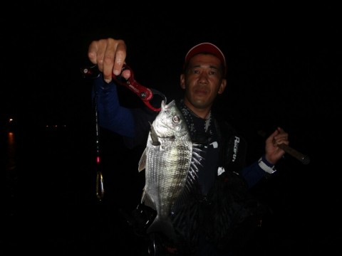 pkut8u4v7e3vzddrrjpe_920_690-2d1e4480.jpg