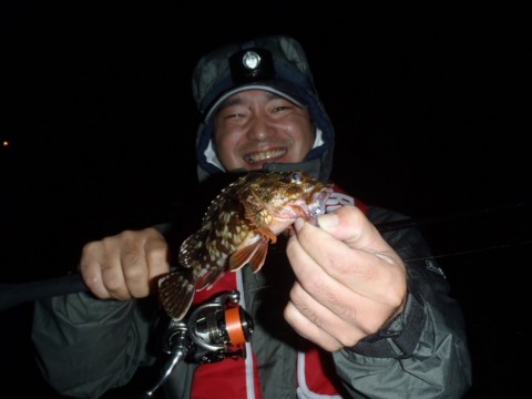 pkwrygi9psdfyicsdymv_480_480-0824e343.jpg