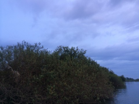 pkwtror8kotk74pr9h73_480_480-909800b9.jpg