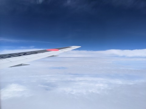 pkz2xjhz9zvbs64j5ugm_480_480-154bf46c.jpg