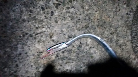 pkzc7mk9nd2bbmtapx38_920_518-2304b620.jpg