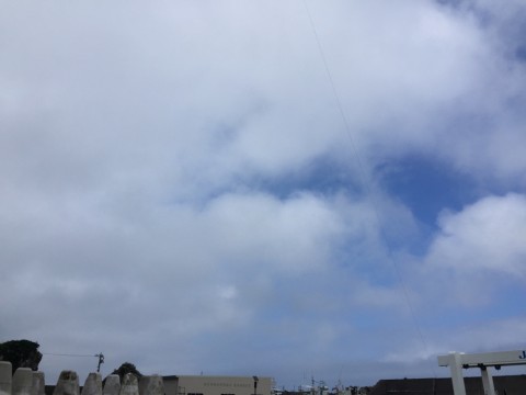 pm7eob92raedhsxv7ru3_920_690-a461d262.jpg