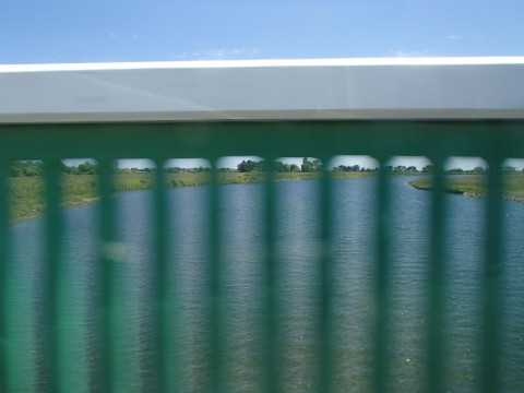 pmrsv6voawhov8ojjcy5_480_480-ffa2e686.jpg