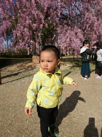 pmtng55zaf8cyw24253z_690_920-f2b97439.jpg