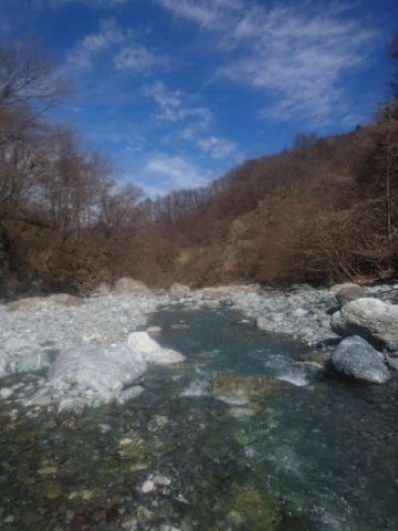 pmwz7twberrkors9i6ph_480_480-237a6b93.jpg