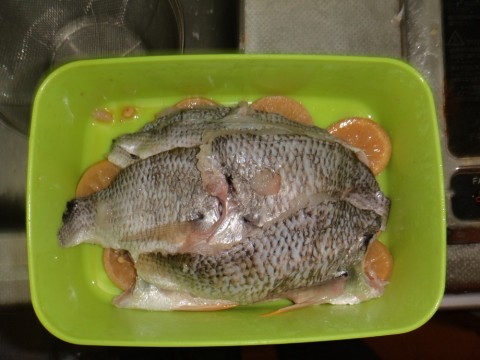 pn65y7g3dw4gkohptoju_480_480-da938b77.jpg