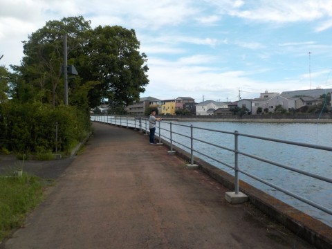 pn9tkf8d64pnef5xpw2g_480_480-fb40728f.jpg