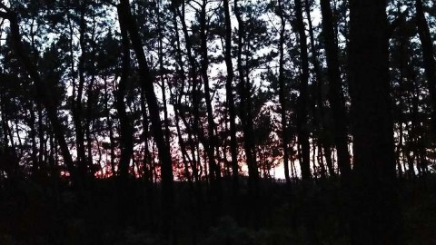 pnj3ctiyw8ugucwpdoah_480_480-35063e74.jpg