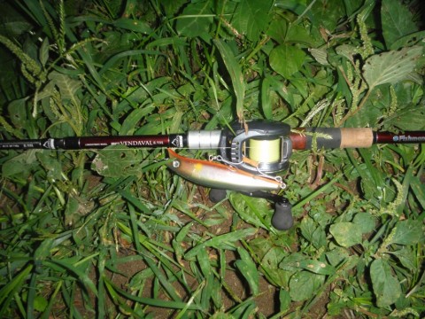 pno5p2to7wdvc9y8jn5b_480_480-d47d5699.jpg