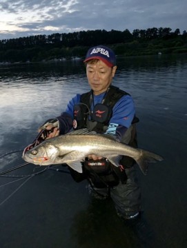 pnzuaetymb5w8rk2vwkp_361_480-8f051663.jpg