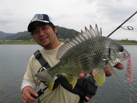 po7s25dnxb5rkwpj8hnu_480_480-1f27c54b.jpg