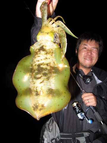 poNuN87xLNDgc3gg9Rbp_480_480-8c891a9d.jpg