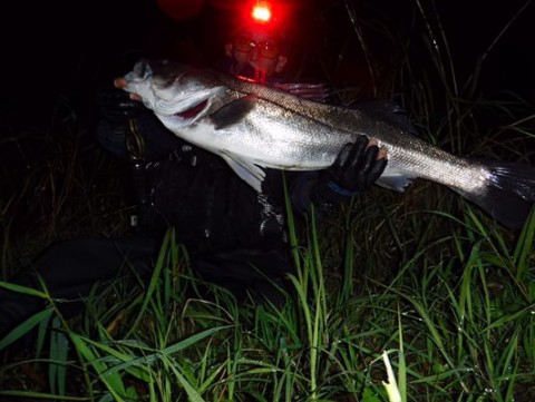 poanj37cgi42k94js4pr_480_361-fb1ab444.jpg