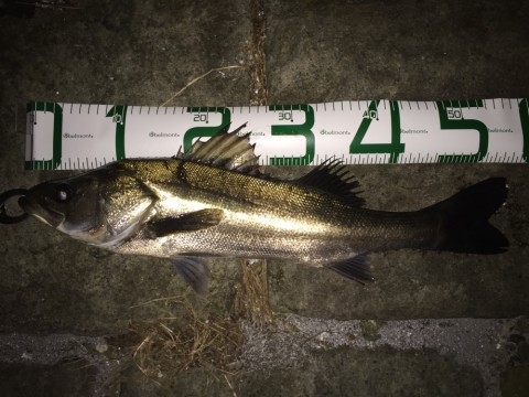poiyci55e3g3yu547kvw_920_690-66a972d3.jpg