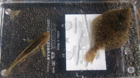 pomx6j6hi6gvr9sa6nz7_920_518-9509b911.jpg