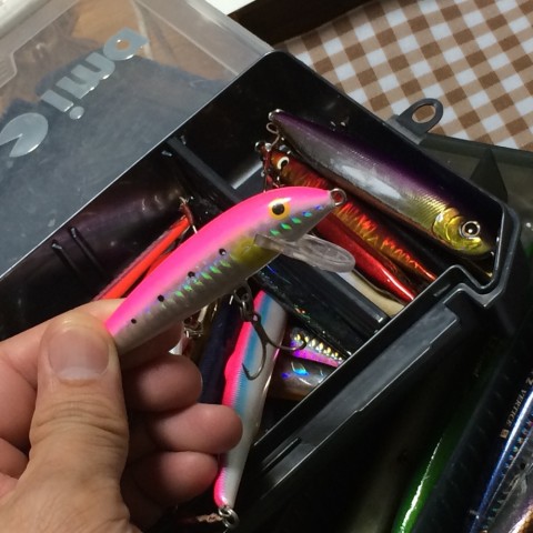 porent7hpxnb49smmkgc_920_920-21e196d8.jpg