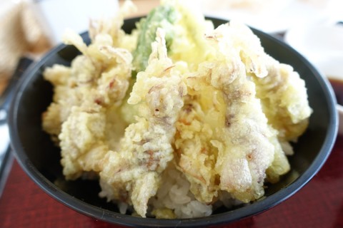 potci53h7ekwsrw85aku_480_480-3d4f06db.jpg
