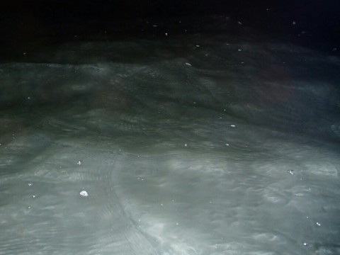 potf89a9d43kzobtwrz4_920_690-e9e2ae22.jpg