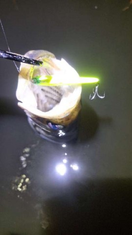 poxddmrsogffubsdhkg8_480_480-aa394946.jpg