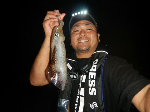 pp78zpywd6d3tkpcpsr7_920_690-2c613011.jpg