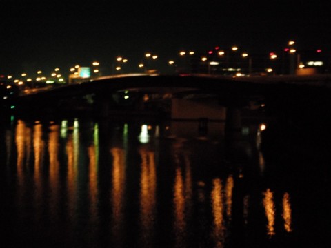 pp8xfs6yi5wobiv5jofs_480_480-63d19a57.jpg