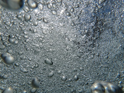 pp9dzwnmeki2w3eznfvp_480_480-05899faa.jpg