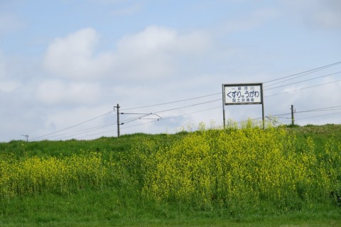 ppfhj3hojdfeouavnxz2_480_480-96ba668e.jpg